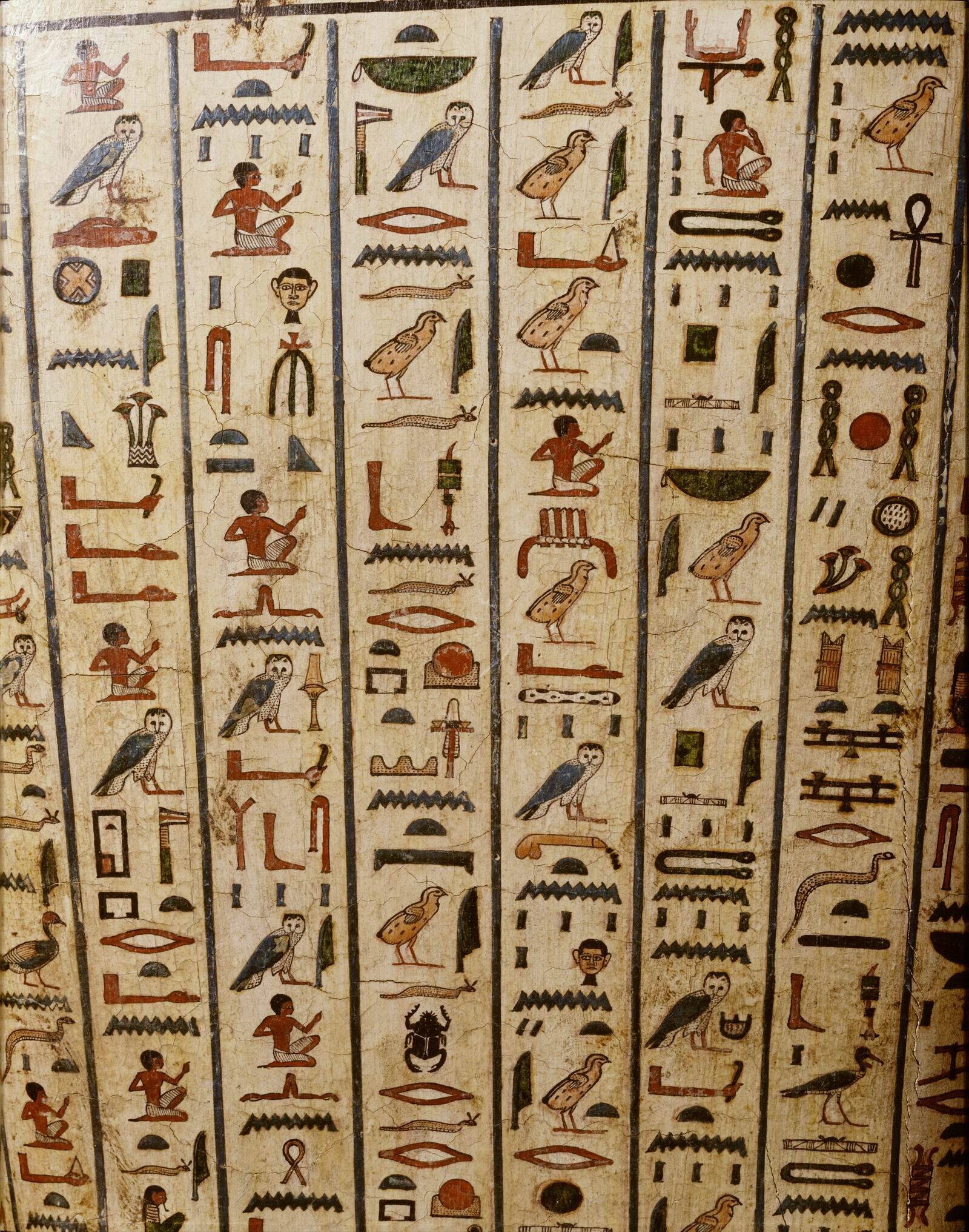 Egyptische Vogels - Sarcofaag van Peftjaoeneith