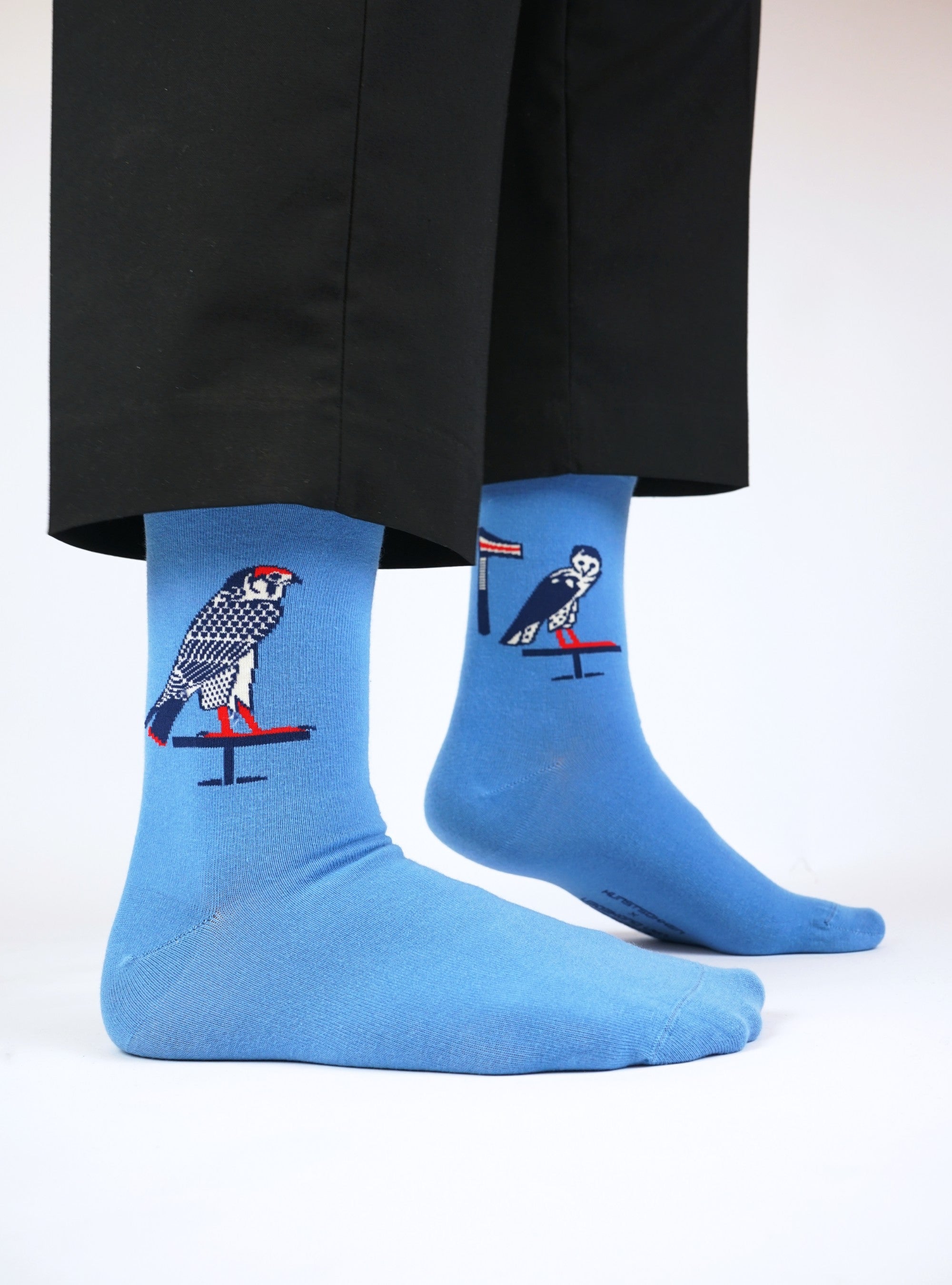 Egyptische Vogels - Sarcofaag van Peftjaoeneith